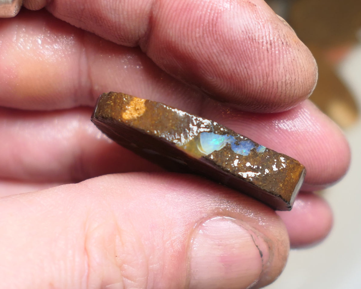 Queensland Boulder Matrix opal 55cts rough / slice Koroit some fires 30x20x6mm JanA50