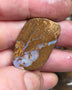 Queensland Boulder Matrix opal 33cts rough / slice Koroit some fires 30x20x6mm JanA43