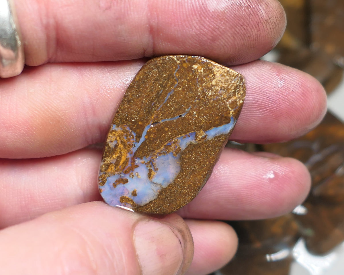 Queensland Boulder Matrix opal 33cts rough / slice Koroit some fires 30x20x6mm JanA43