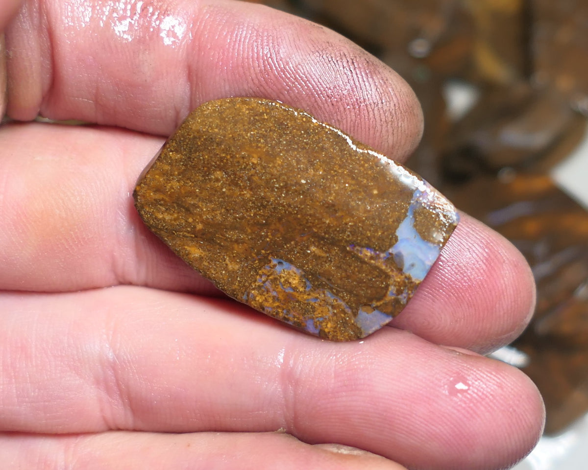 Queensland Boulder Matrix opal 33cts rough / slice Koroit some fires 30x20x6mm JanA43