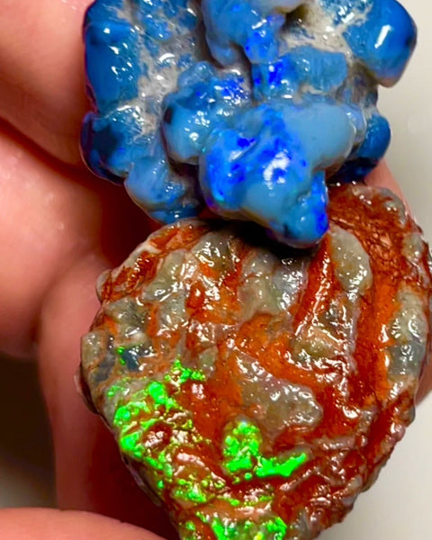 Pair of nice sized Opal formations from Lightning Ridge 42.00cts Bright Blue & Green fires  23x22x14 & 29x19x7 mm NSW047