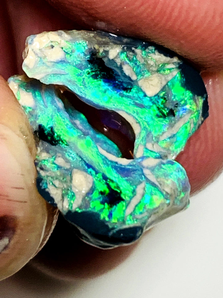 OPAL MONTH SPECIAL Lightning Ridge Rough Opal Black N1 Base Knobby Split 11cts Cutters Candy Exotic High Grade Super Bright Neon Green dominant fires 17x12x7mm & 15x7x7mm WSZ78