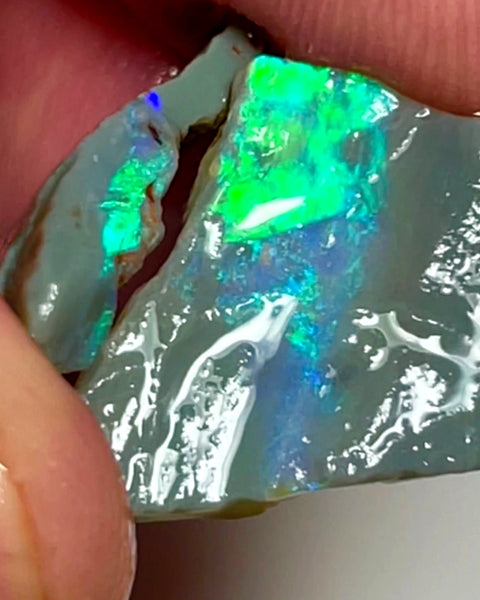 Lightning Ridge Opal Dark Base Seam Rough 10.5cts Gorgeous Green / blues fires to cut 20x16x3 & 17x16x3 mm WAE55