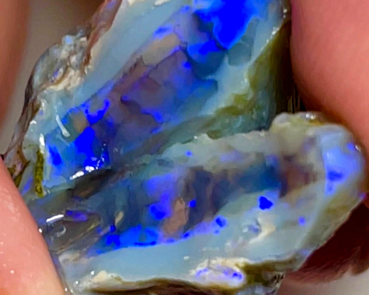 Lightning Ridge Rough Opal 31cts Stunning Dark Crystal Knobby Split with Nice bars with Vibrant Blues  26x20x13 & 20x8x7mm WAE57