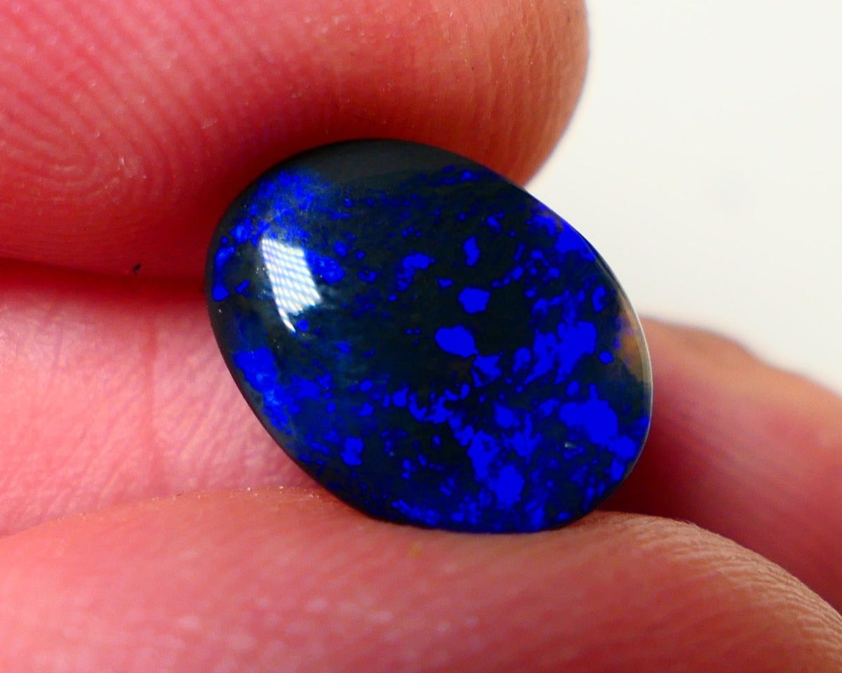 Lightning Ridge Black Crystal Opal Gemstone 2.00cts Gem Grade Mulga® N1 JET Black Body Tone B3 Brightness Stunning Very Bright Royal Blues 12x10x2.5mm UK05