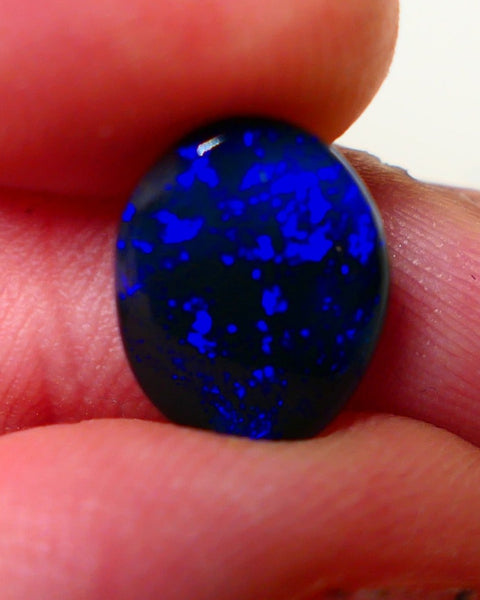 Lightning Ridge Black Crystal Opal Gemstone 2.00cts Gem Grade Mulga® N1 JET Black Body Tone B3 Brightness Stunning Very Bright Royal Blues 12x10x2.5mm UK05