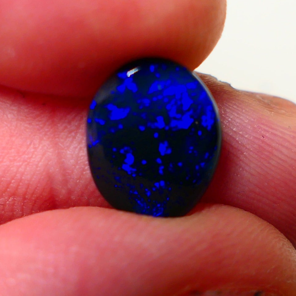 Lightning Ridge Black Crystal Opal Gemstone 2.00cts Gem Grade Mulga® N1 JET Black Body Tone B3 Brightness Stunning Very Bright Royal Blues 12x10x2.5mm UK05