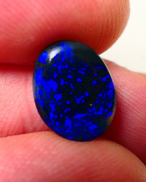 Lightning Ridge Black Crystal Opal Gemstone 2.00cts Gem Grade Mulga® N1 JET Black Body Tone B3 Brightness Stunning Very Bright Royal Blues 12x10x2.5mm UK05