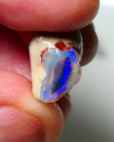 Lightning Ridge Knobby Opal Rough 11.50cts showing nice exposed blues 17x13x10mm A1501