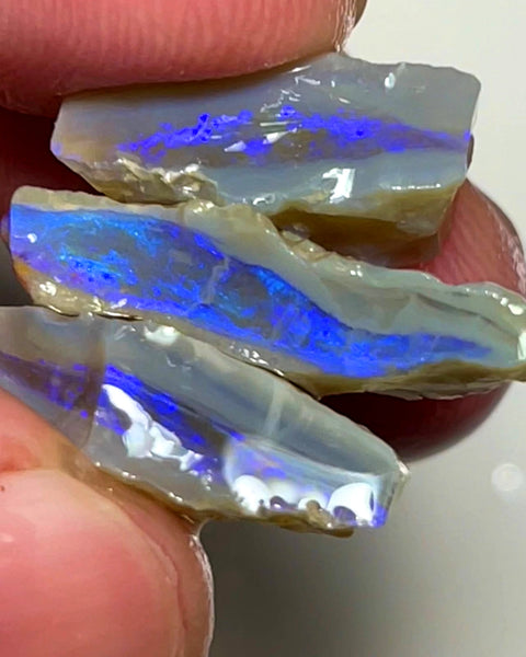 Lightning Ridge Rough Opal 20cts Stack of Dark Base Crystal Seams Bright Blues colour fires to Cut / carve & polish 22x12x5mm to 16x9x7mm 1026