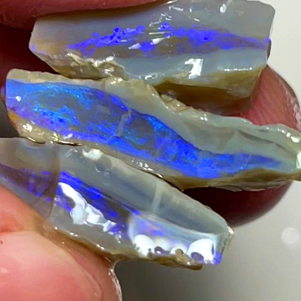 Lightning Ridge Rough Opal 20cts Stack of Dark Base Crystal Seams Bright Blues colour fires to Cut / carve & polish 22x12x5mm to 16x9x7mm 1026