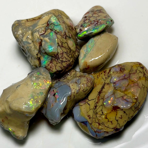 Lightning Ridge Rough Dark & Crystal Opal Parcel 125cts Knobby & Seam Formations with bright Multi colours showing 30x22x8mm to 18x10x5mm WAD37