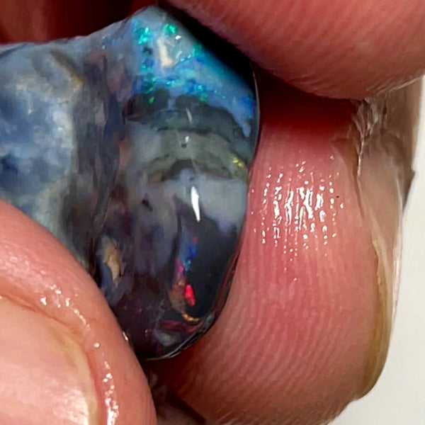 Lightning Ridge Rough Opal 11.5cts Stunning Black base Seam Gorgeous Reds Greens & Multifires in bars 20x14x5mm WAD44