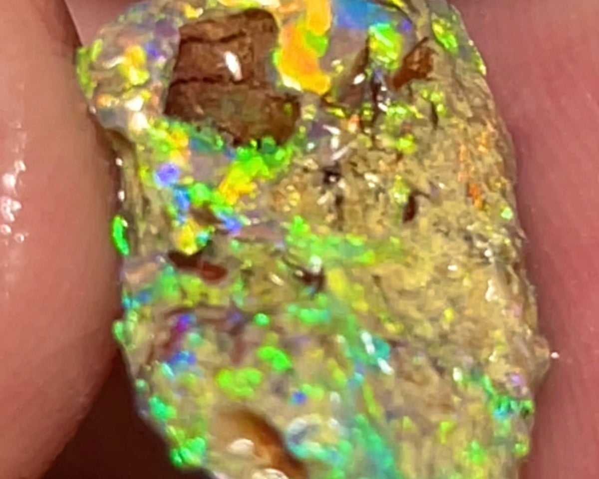 Bling Bling Lightning Ridge Rough Opal 6.25cts Untouched Opalised Wood Fossil Vibrant Rich Bright Multifires 20x10x5mm NEW26