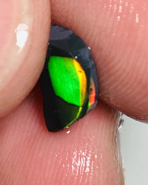 Lightning Ridge Rough / Rub Black Seam opal Miners Bench®  Baby Harlequin 1.45cts Exotic Super Bright Vibrant & Vivid Multifires 12x6x2mm WSY92