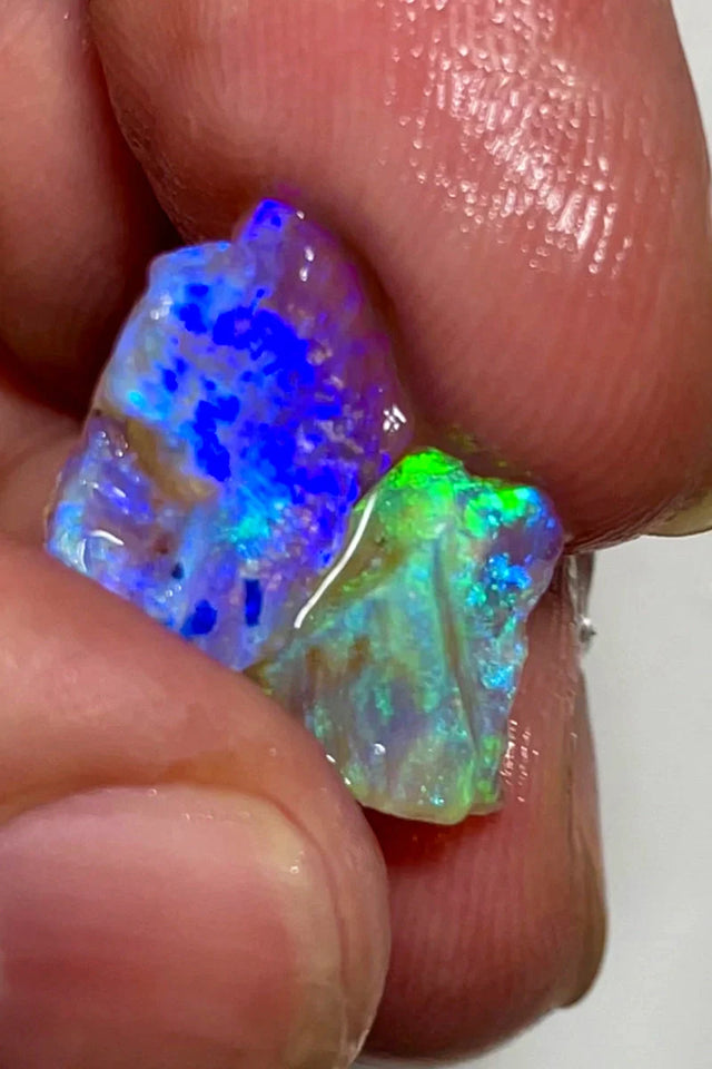 Opal Fever Mate Auction