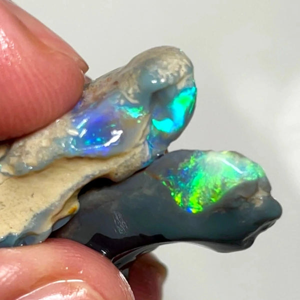 Lightning Ridge 33cts Nice pair of Dark base Crystal Opal formations rough to cut/carve Gorgeous Bright Multicolours 30x14x5 & 27x12x8 mm WAE65