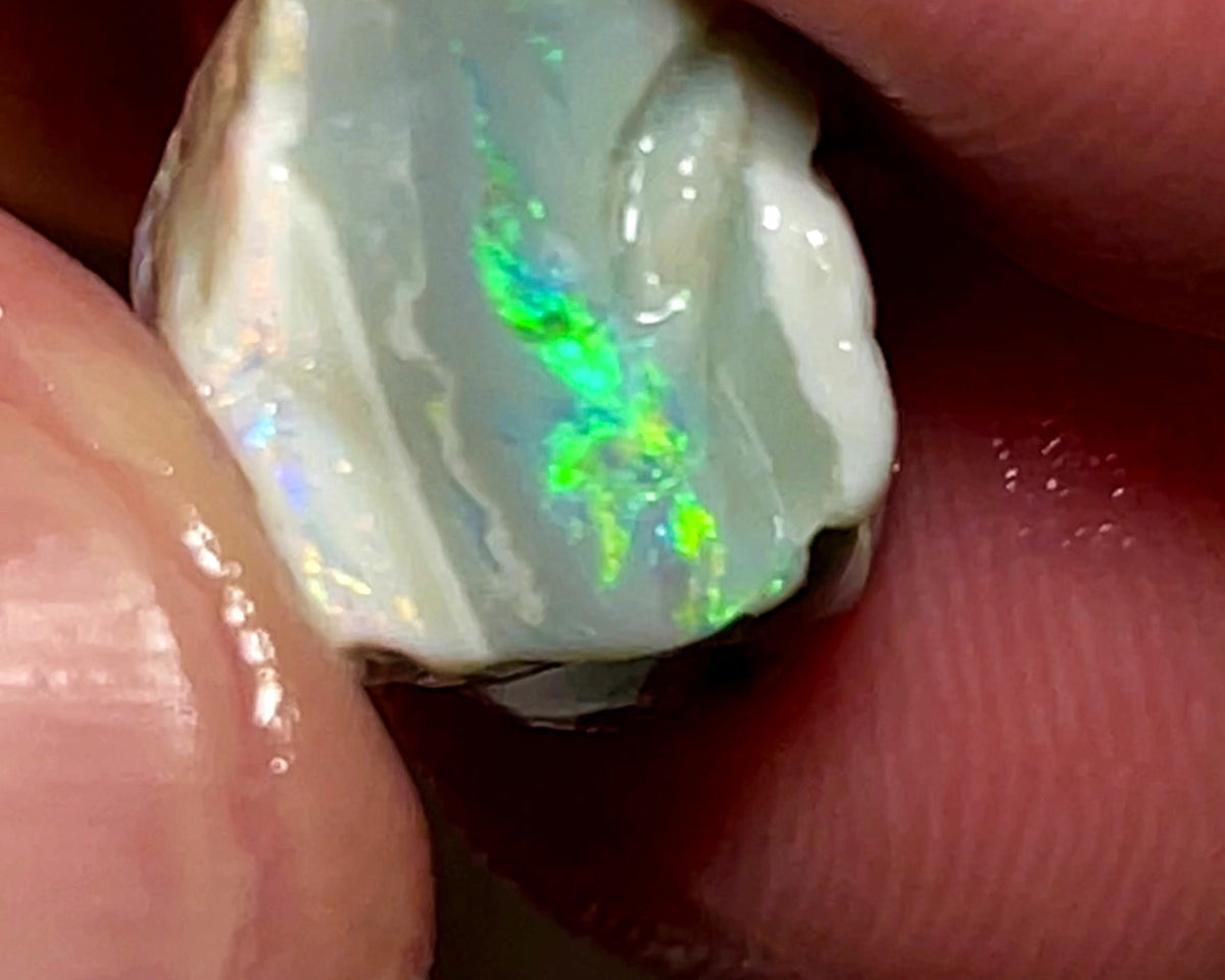 Australian Rough Opal 9.5cts Dark base Knobby of Lightning Ridge Gorgeous Bright Multifires 15x10x8mm WAE04