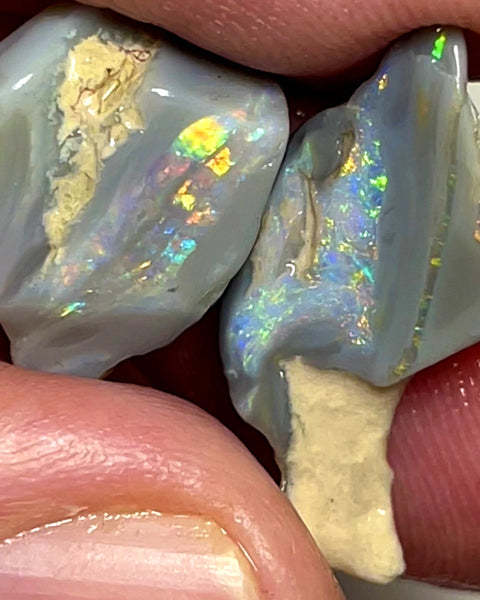 Lightning Ridge Opal Rough Dark Base knobby Pair 13.25cts Gorgeous Very Bright Multifires 18x12x5mm & 18x12x5mm WAD36