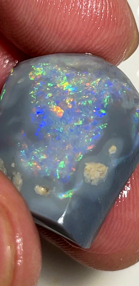 Lightning Ridge Rough / Rub Dark Base opal Miners Bench® 26cts Big Clean & Multifires 23x18x9mm WAB34