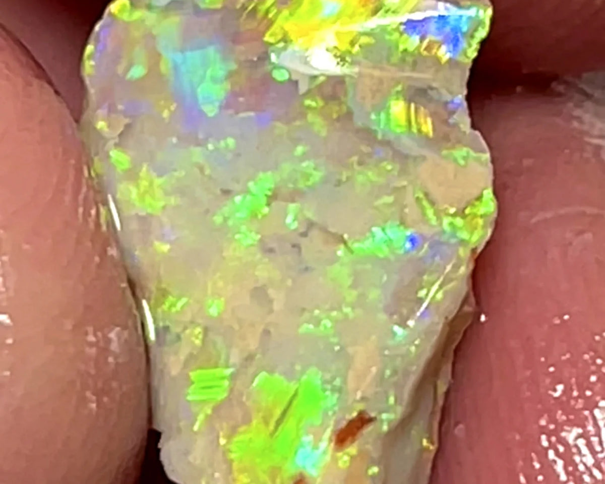 Opal Fever Mate Auction