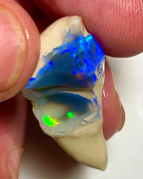 Lightning Ridge Rough / Rub Dark Crystal Knobby opal Miners Bench® 24cts Nice  Multifires 35x15x8mm WAC49