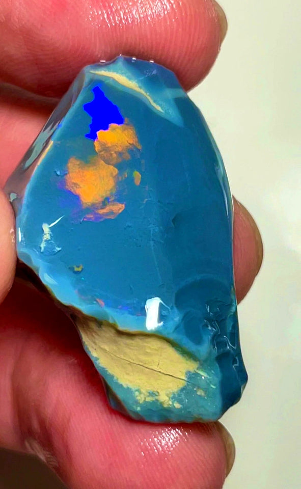 Lightning Ridge Opal Huge Rough/Rub Dark Base From the Miners Bench® 60cts Broad zones of Orange/Blue fires 39x24x12mm WAD29