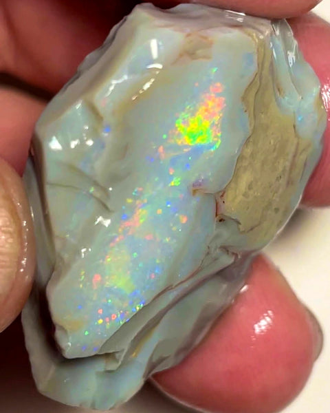 Lightning Ridge Rough / Rub Huge Dark Base Seam opal Miners Bench® 62cts Gorgeous Bright Multifires  38x20x8mm WAC09