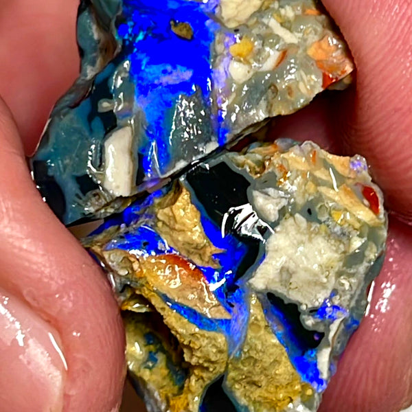 Lightning Ridge Rough Opal 43cts Big size Black Knobby Split showing bars with lots of blues 21x20x15 & 21x19x13 mm WAE41