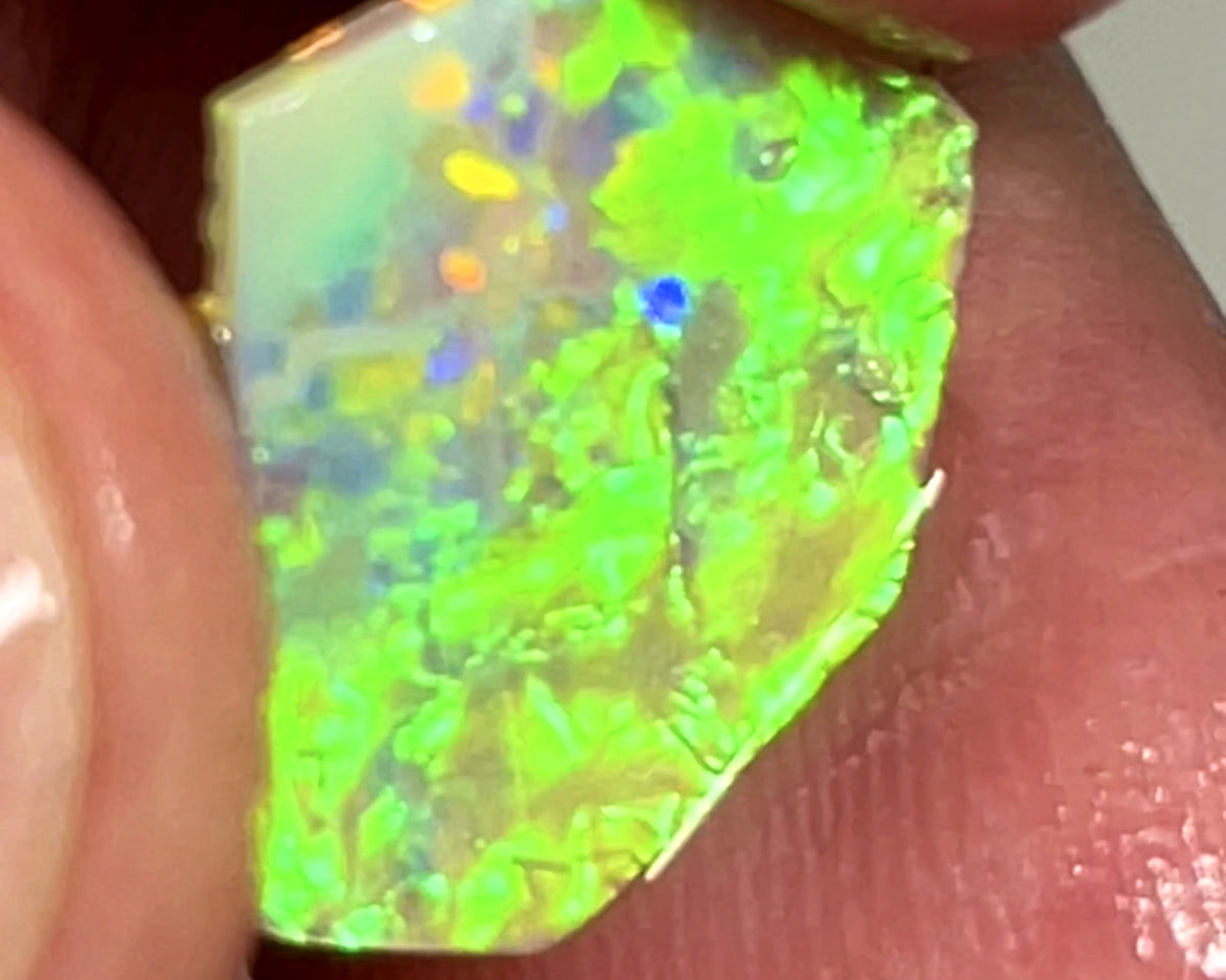 WARNING SUN GLASSES NEEDED Bling Rough / Rub Jewellery Grade Crystal opal Suit Inlay or doubleting Miners Bench® 1.4cts Saturation of Gorgeous Vivid Vibrant Multifires  14.000 x 11.000 x 1.500 mm WAE0