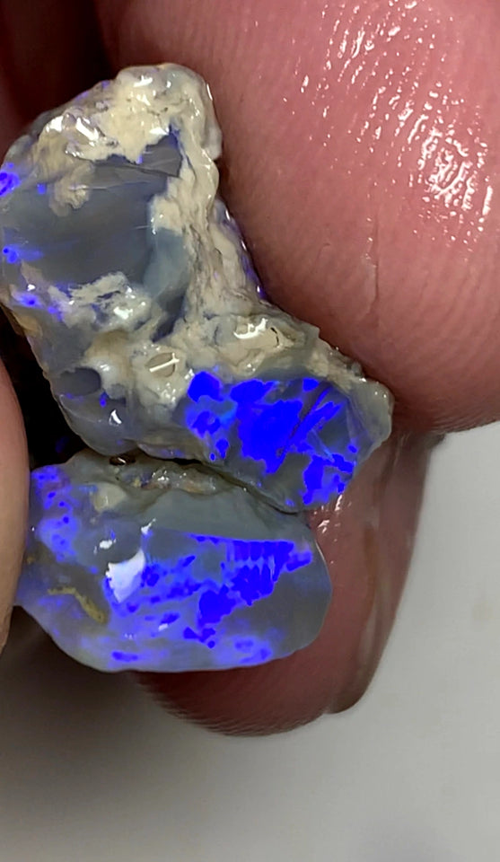 OPAL MONTH SPECIAL Lightning Ridge Rough Pair Dark Seam opals 26cts Stunning Bright Blues 22x17x9mm & 15x13x4mm WSZ55