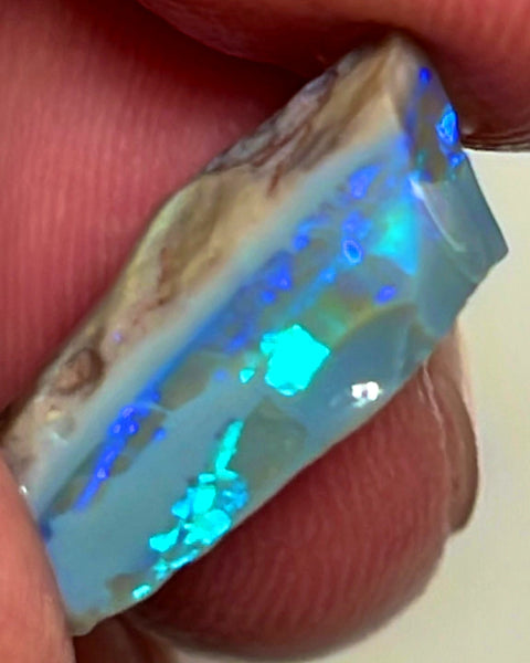 Lightning Ridge Rough Opal 8.25cts Cutters  Stunning Dark Base High Grade Bright Multifires 21x12x8 mm WAE27