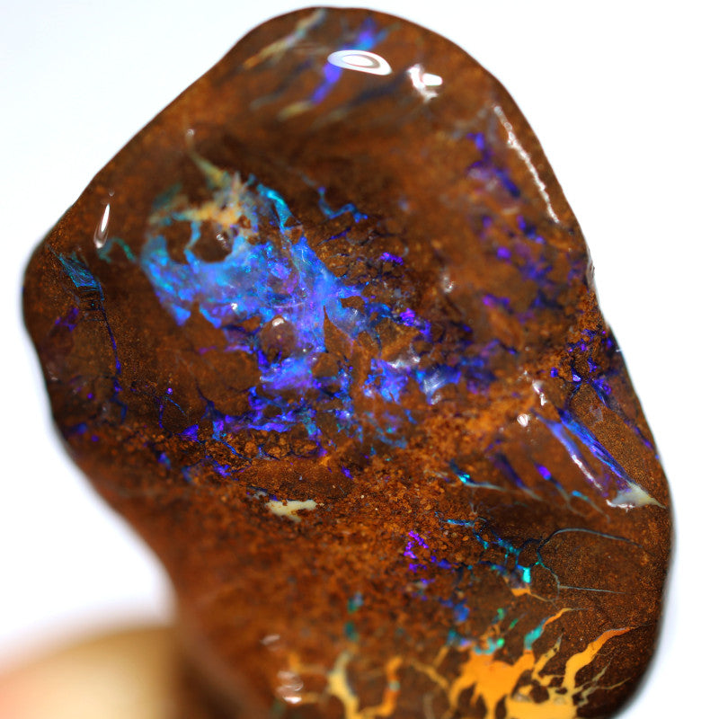 NO RESERVE Australian Queensland Boulder Matrix opal single 36cts Tumbled rough Koroit colours & potential 27x15x14mm WST21