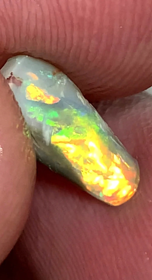 Opal Fever Mate Auction