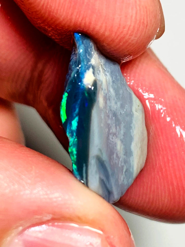 OPAL MONTH SPECIAL Lightning Ridge Rough Opal Black Seam 7.4cts Cutters Candy Exotic High Grade Super Bright Multifires 18x13x5mm WSZ89