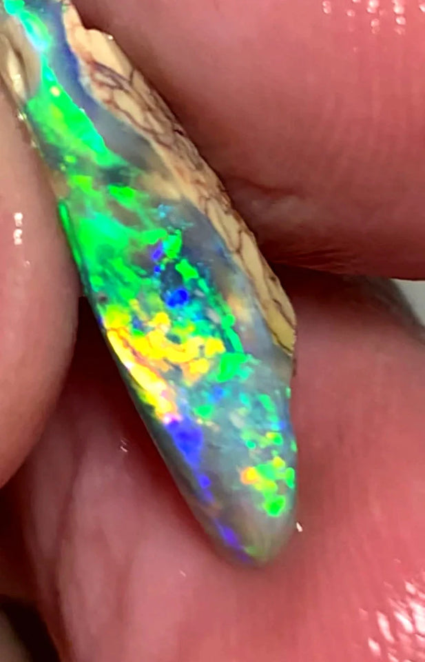 Opal Fever Mate Auction