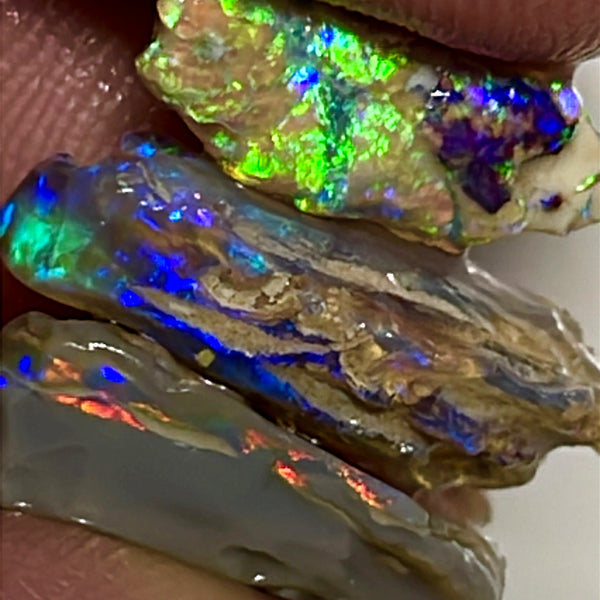 Lightning Ridge Rough Opal 12cts Stunning Stack of Dark base Nice Gamble rough to cut Gorgeous Bright Multicolours 17x11x4 to 15x6x3mm WAE59