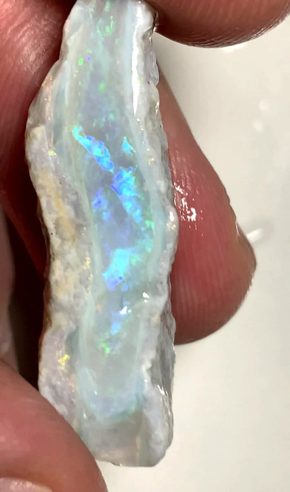 Opal Fever Mate Auction