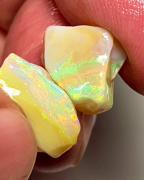 NEW YEARS DAY THNK U AUCTION4  L/Ridge Rough Opal 12.75cts Cutters Seam Bright gorgeous Yellow/Orange Dominant fires 15x9x7mm & 10x9x8mm SKU#0662