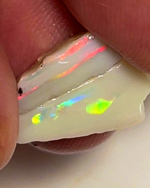 Lightning Ridge Rough Opal 6.5cts Cutters Pair Stunning Light Base High Grade Bright Multifires  18x8x5 & 12x8x4 mm WAE26