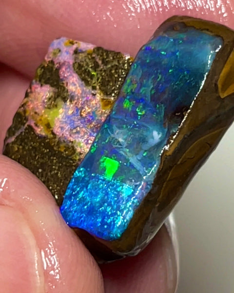 XMAS THANK YOU AUCTION2 Stunning Gemmy Winton Boulder Opal 20cts Rough rubs Bright & Vibrant fires 20x7x5mm to 14x8x4mm NSA009