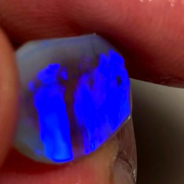 Lightning Ridge Rough / Rub /Preform Dark Base Crystal Knobby opal Miners Bench® 4cts Clean Gorgeous Bright Blues 16x11x3mm WAC35