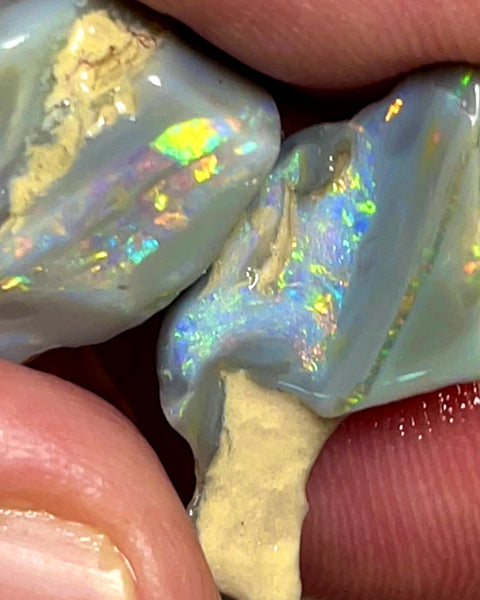 Lightning Ridge Opal Rough Dark Base knobby Pair 13.25cts Gorgeous Very Bright Multifires 18x12x5mm & 18x12x5mm WAD36