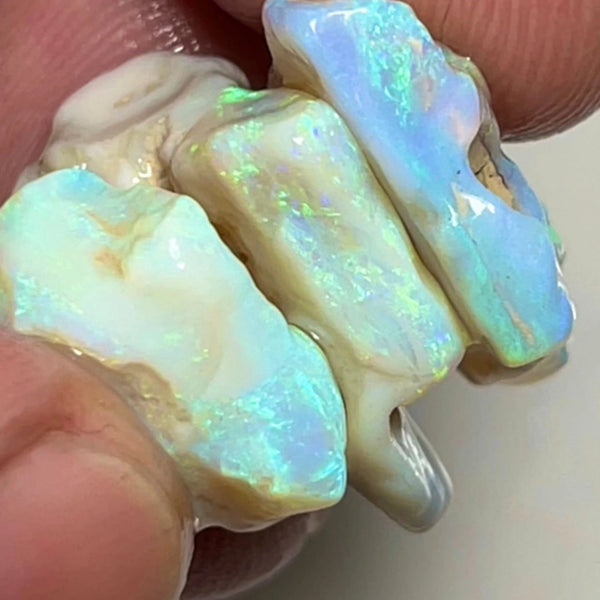 Lightning Ridge Rough Thick Seam Opals 29.00cts Light base with Multicolour bars showing lots of potential 20x17x8 to 15x11x7 mm NSW049