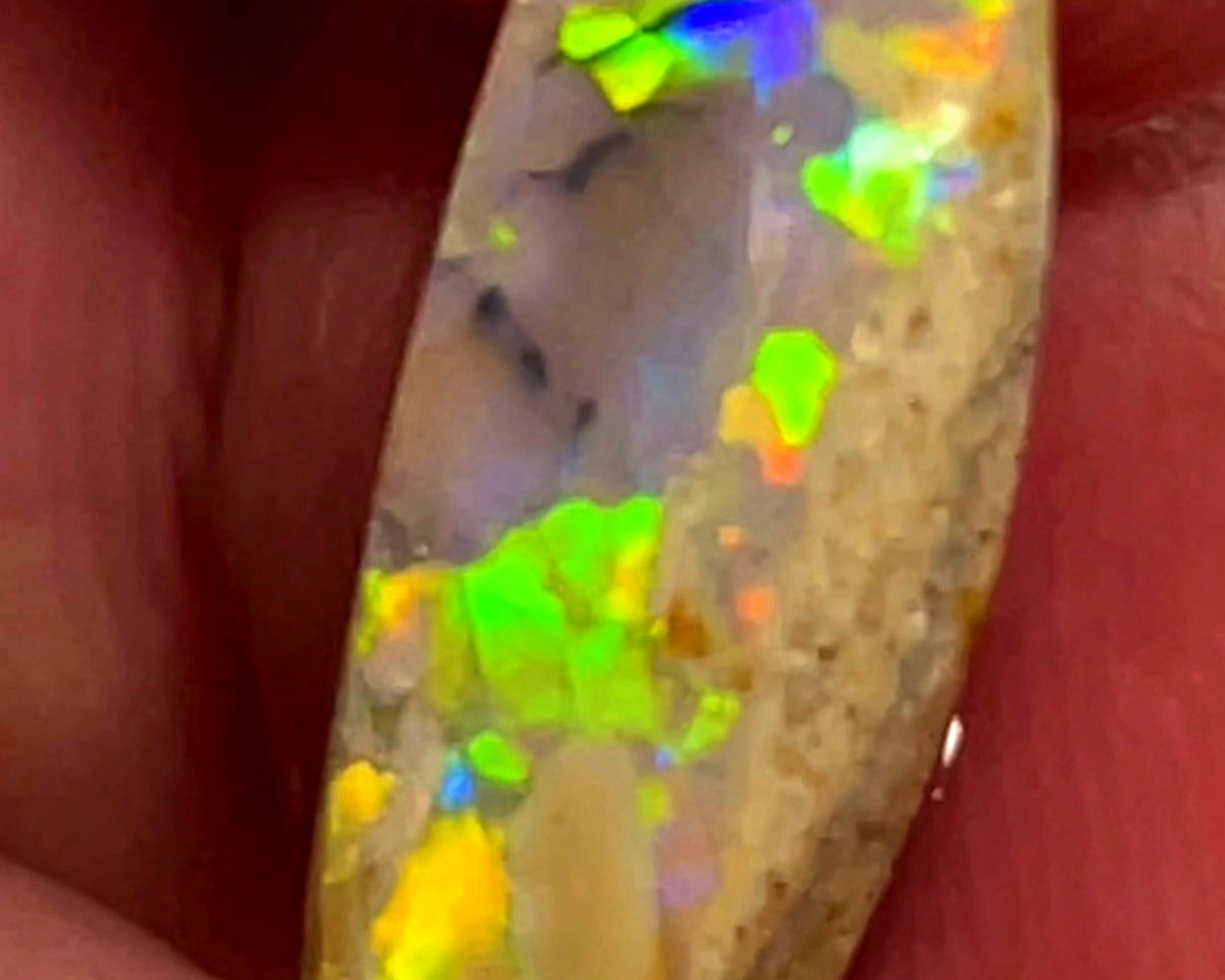 Lightning Ridge Opal Dark Base Crystal Knobby Rough Rub 3.00cts Super Vibrant & Bright Multifires  17x6x3 mm WAE53