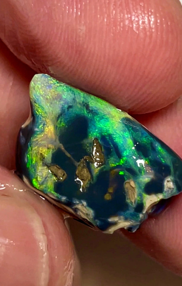 Lightning Ridge Opal Rough/Rub Black Specimen From the Miners Bench® 9.5cts Gorgeous Bright Multi fires 20x12x7mm WAC51