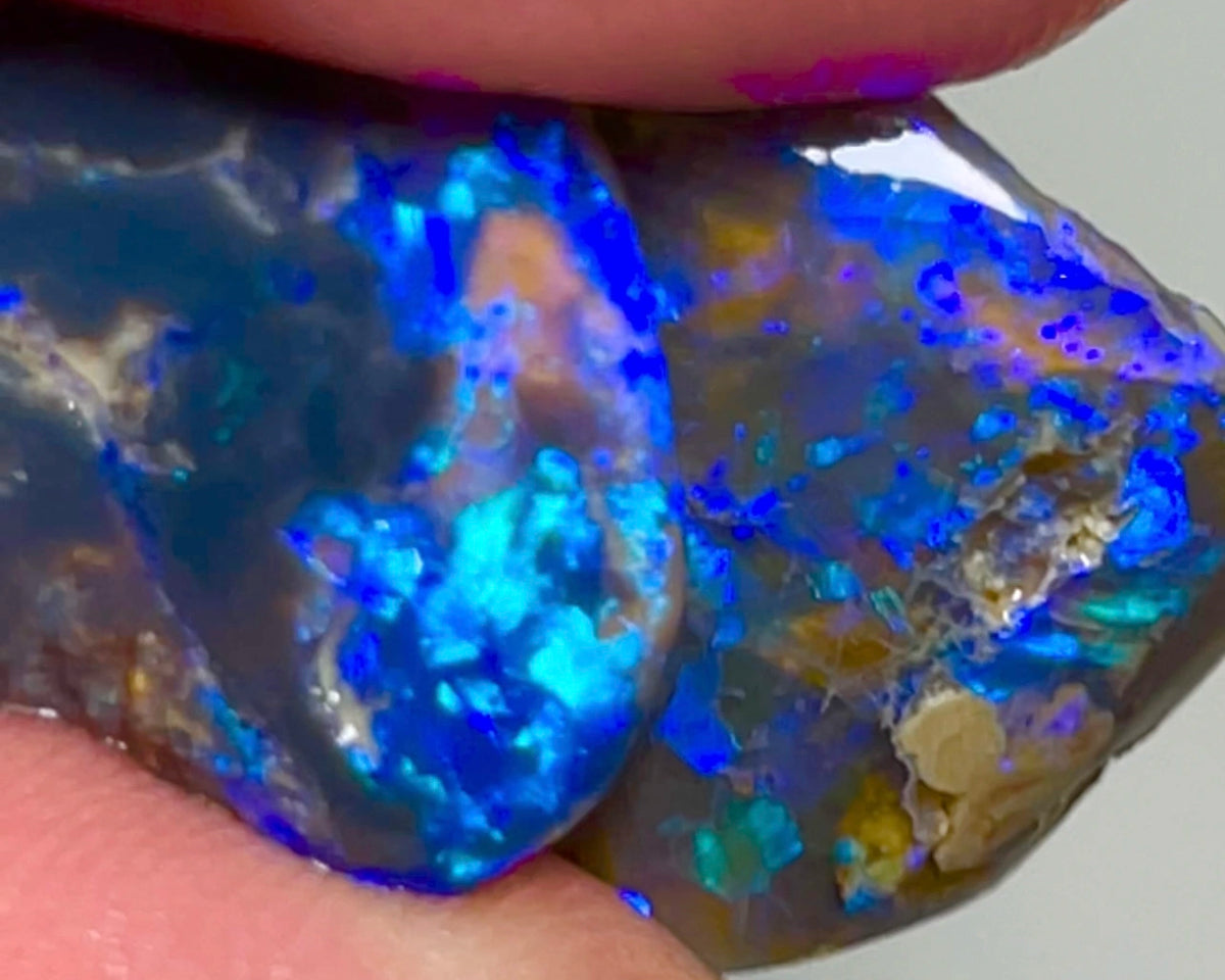 Lightning Ridge Rough / Rubs pair Blue on Black opal Miners Bench® 18cts Gorgeous Blue dominant Fires 17x16x5mm & 15x13x4mm NSA010