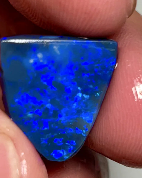 NEW YEARS DAY THNK U AUCTION1 Big Sized Blue on Black Opal Rub Rough 10cts L/Ridge Full of gorgeous fires 17x12x3mm SKU#0270