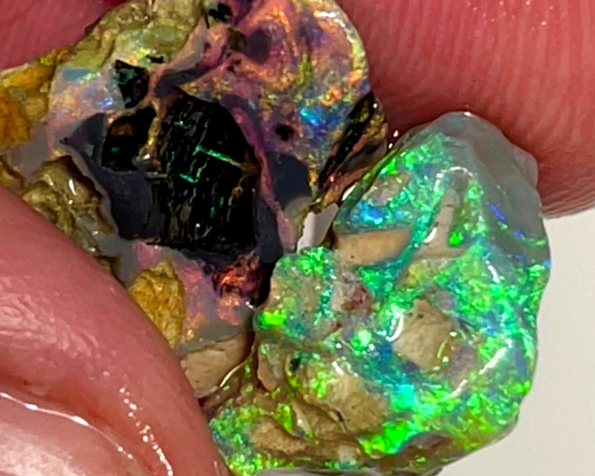 Lightning Ridge Rough Opal 8.75cts Dark Crystal Fossil Formations showing nice Reds &  Bright Multicolours 14x12x4 & 13x10x6 mm WAE54