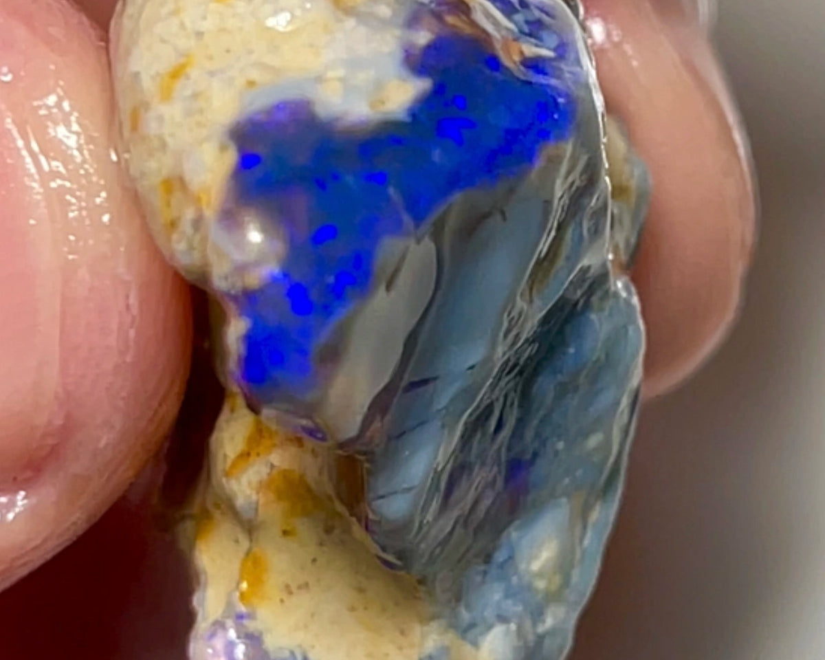 Lightning Ridge Rough Opal 54cts Huge Black/dark Seam formation showing lots nice Blues 35x25x15mm 1345